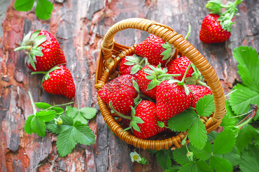 草莓果味早餐养分甜点美食水果营养团体食物叶子图片