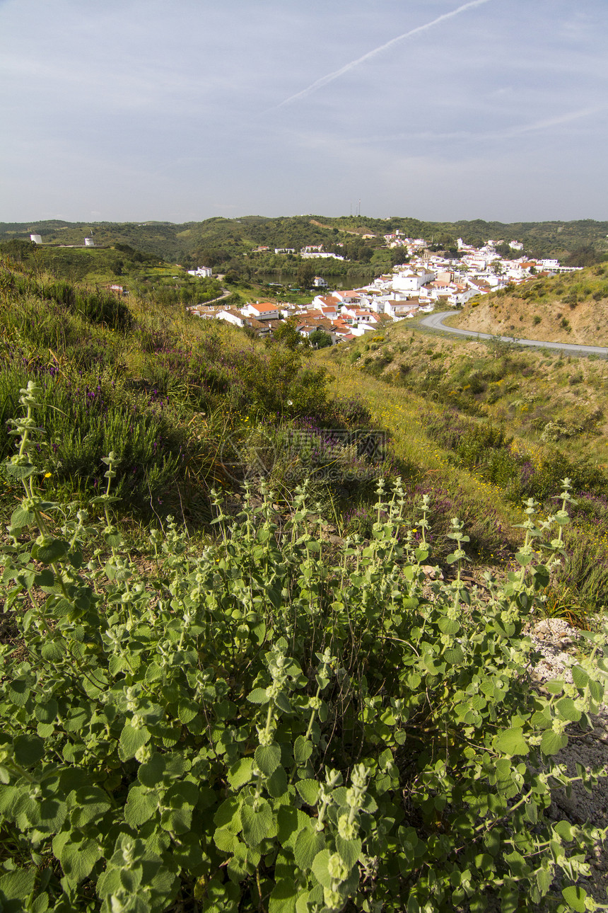 西班牙桑卢卡尔典型住房白色房子农村爬坡植被假期旅游村庄图片