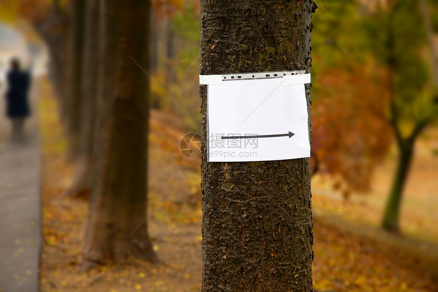 空白签名路面笔记招牌邮政公告树干广告公园指导展示图片
