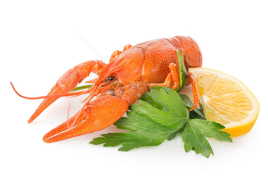 鲑鱼和柠檬桌子树叶盘子动物背景奢华香菜螃蟹青菜饮食图片