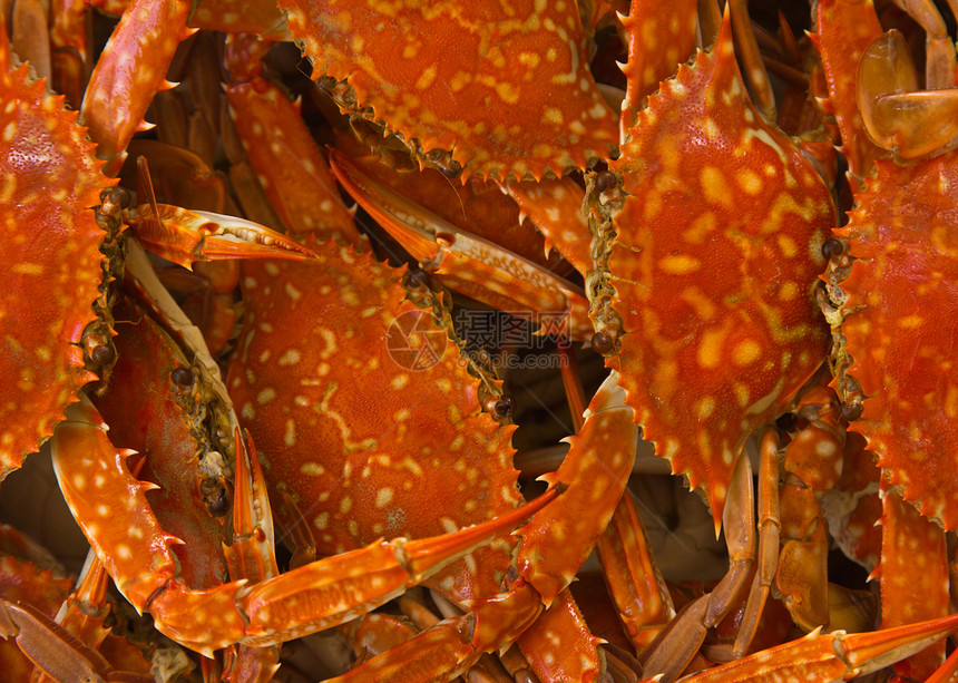 蓝螃蟹煮熟海鲜餐厅食物美食红色橙子烹饪图片