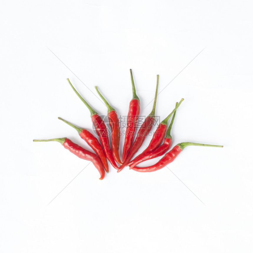 白上孤立的胡椒文化香料辣椒素厨房香肠蔬菜烹饪植物宏观辣椒图片