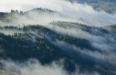 有林雾城市生活木材旅行魔法薄雾故事天气木头场景高清图片