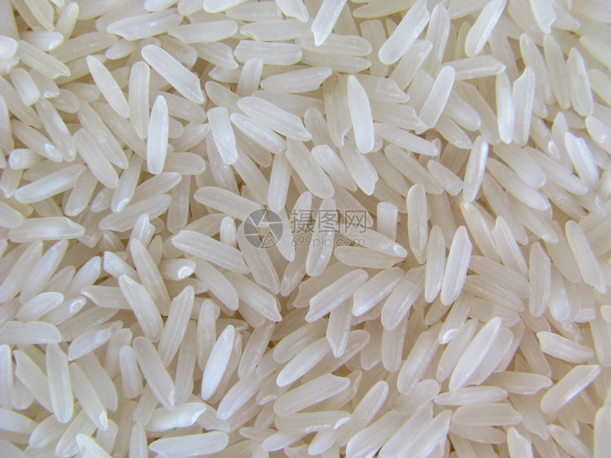 未煮熟稻米生长食物文化茉莉花纤维主食饮食烹饪香米植物图片