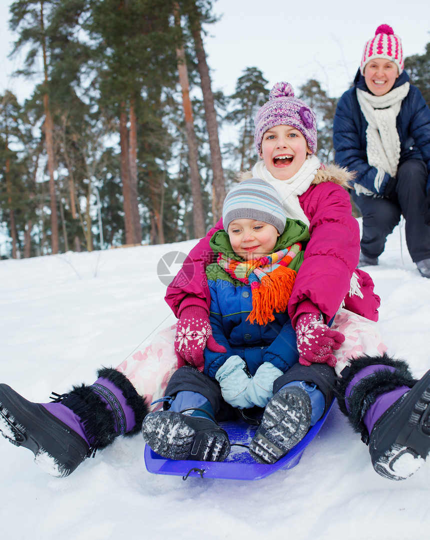 有趣的家庭在冬季风景中滑雪速度兄弟儿子姐姐季节安全森林婴儿松树孩子图片