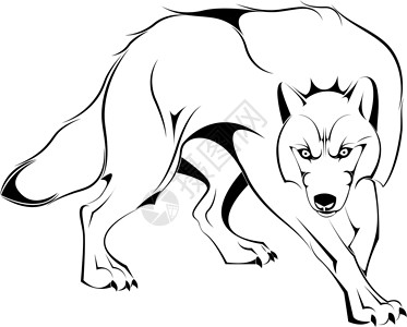 矢量中的狼的休丽叶荒野公司白色黑色标识创造力捕食者手绘动物艺术背景图片