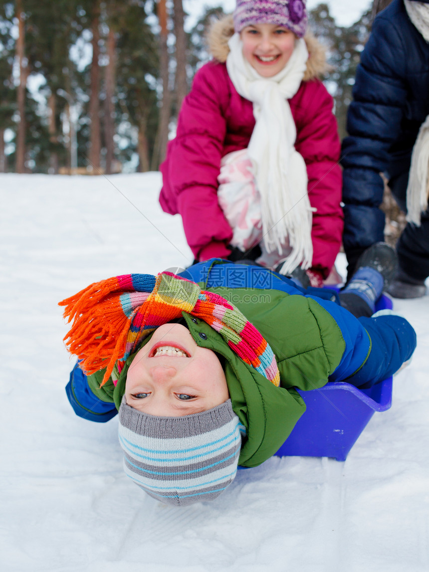 儿童在雪雪地上骑着雪橇喜悦松树眼睛森林男生兄弟孩子美丽婴儿儿子图片