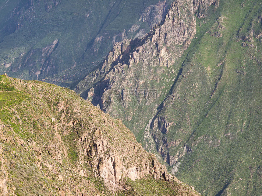 科尔卡峡谷 阿雷基帕 秘鲁深渊秃鹰荒野拉丁梯田顶峰世界蓝色生活天空图片