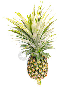 白色背景上孤立的菠萝绿叶食物热带水果树叶叶子背景图片
