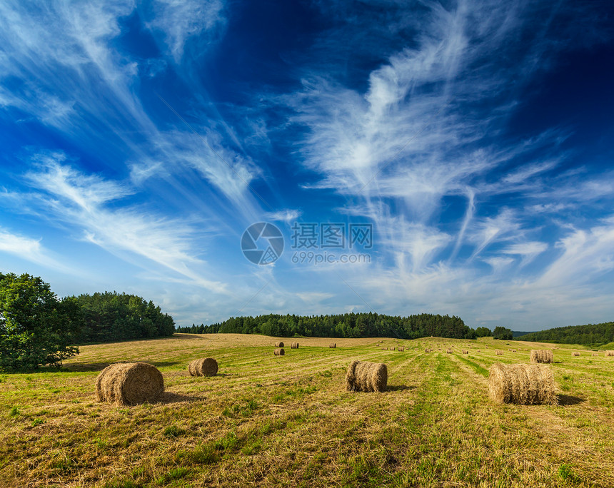 球场的Hay篮子植物草地干草季节稻草场地风景天空图片