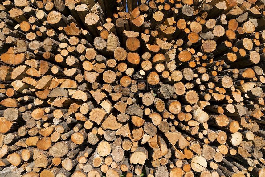 被粉碎的木柴坑木材森林林业能量松树季节树干温暖烤箱植物图片