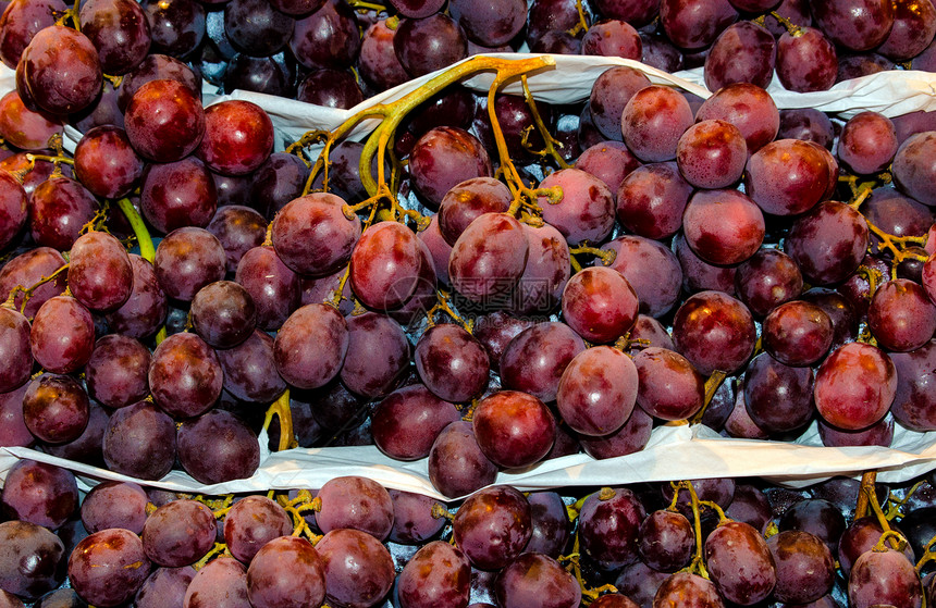 市场上的红葡萄蓝色季节栽培食物农业框架藤蔓收成装饰品眼泪图片