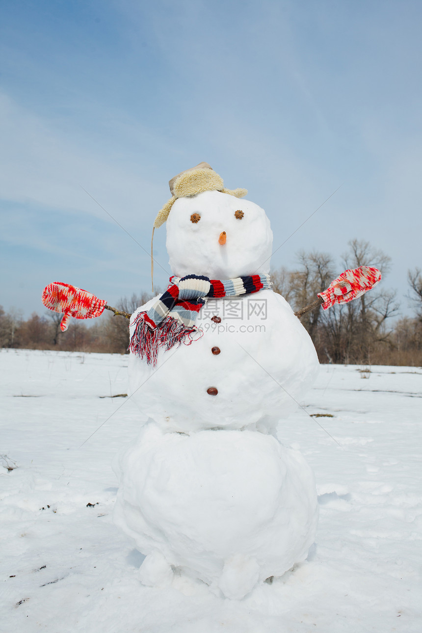 真正的大雪人蓝色天空快乐眼睛围巾引擎盖晴天按钮幸福寒意帽子微笑图片