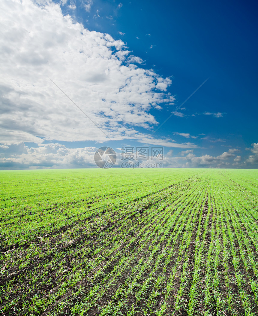 草地和多云的天空草原场景生态场地空气土地国家季节农村地平线图片