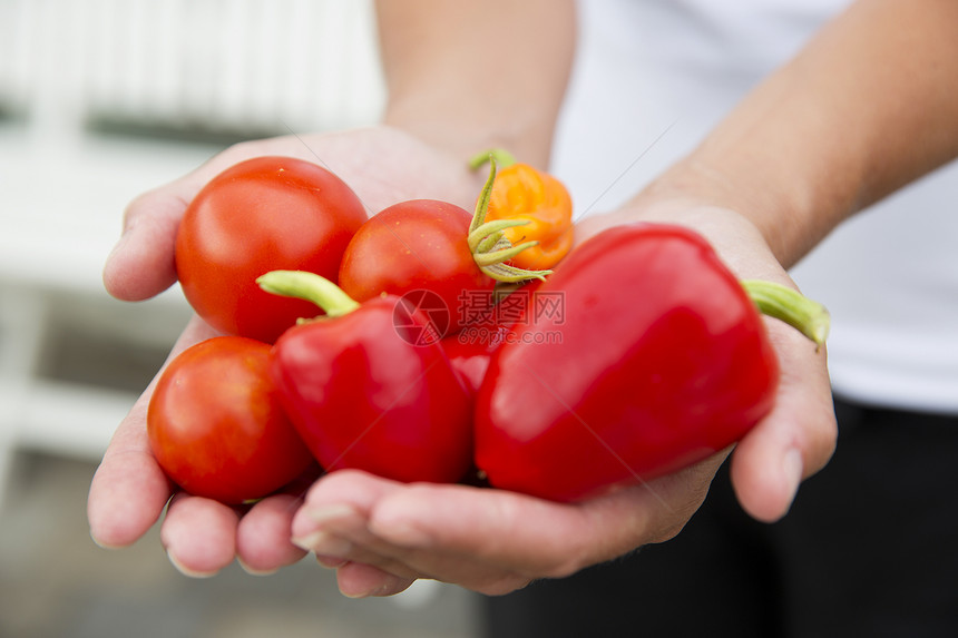 手中的蔬菜辣椒绿色红色水果生活方式饮食生食食物农民美食家图片