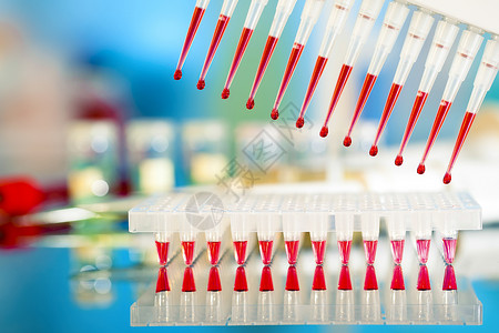 分子生物学DNA样本装上96well板块 用于PCR分析宏观科学微管通道移液器蓝色血液红色dna生物学背景