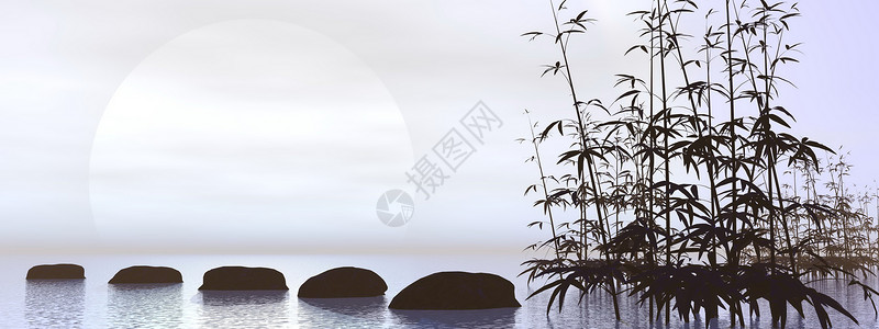 3D树黑白zen  3D make温泉按摩花园岩石日落植物群太阳全景热带植物背景