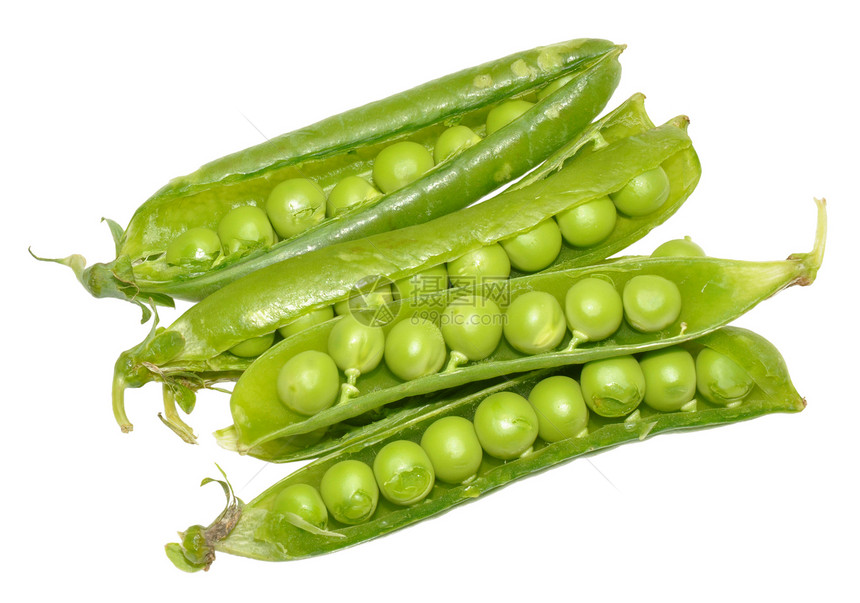 绿豆和种植地蔬菜绿色健康食物生产花园营养白色农业饮食图片