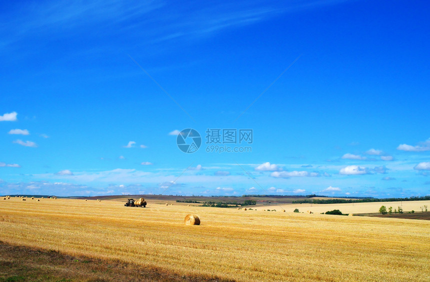 美丽的农村景观 收割场景植物生长太阳农场土地谷物场地蓝色地平线图片