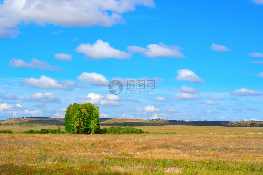 美丽的夏季风景水平乡村土地天空丘陵蓝色场地地平线农场植物图片