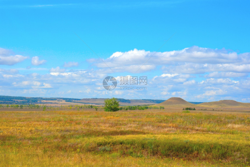 美丽的夏季风景季节草地蓝色绿色环境植物场地黄色全景阳光图片