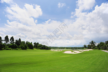 莱美课程高尔夫课程高尔夫球季节风光运动场风景美丽植物阳光天空草地背景