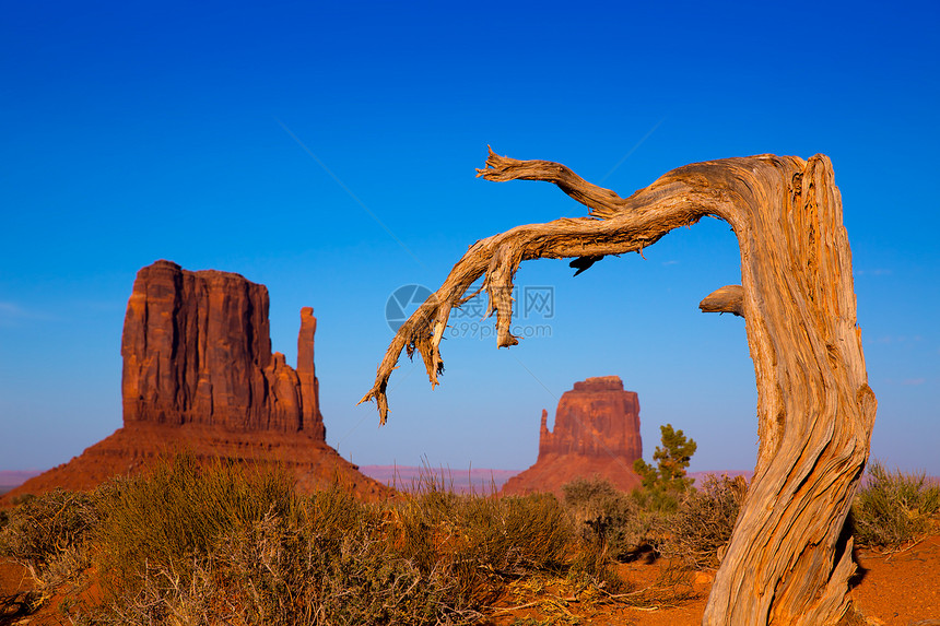 纪念碑西谷和东米唐 Butte Utah蓝色地标砂岩纪念碑手套国家编队地平线旅游石头图片