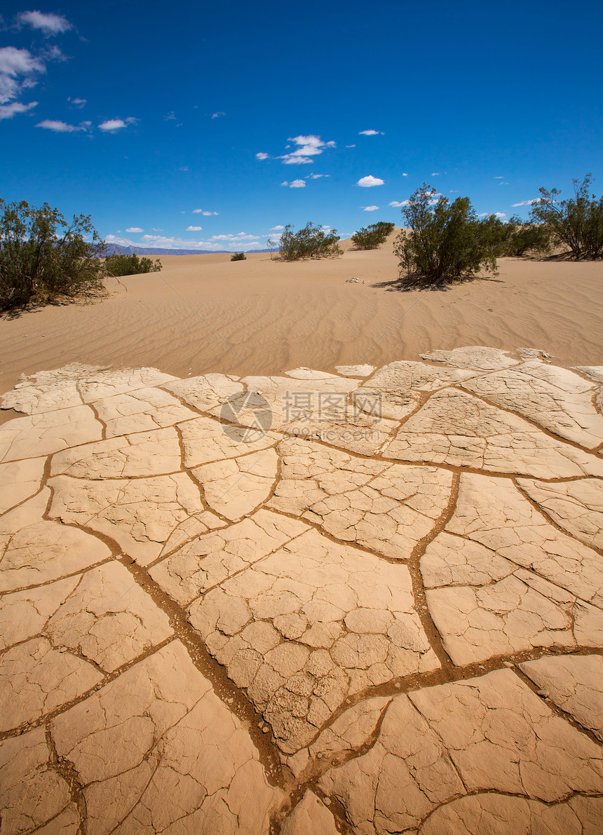 干泥土 在死亡谷的巨集细节地质学国家沙漠土地沙丘黏土旅行蓝色气候干旱图片