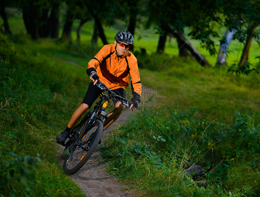 在美丽的夏月森林中骑自行车的赛车运动员男人蓝色男生娱乐骑士闲暇天空成人下坡车轮图片