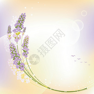 紫蓝花色花彩背景背景图片