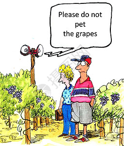 卡通葡萄葡萄园说明背景