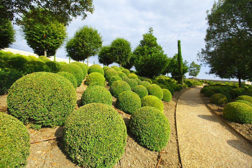 安伯伊思语中的箱木花园圆形植物美化生长公园灌木衬套树篱绿色图片