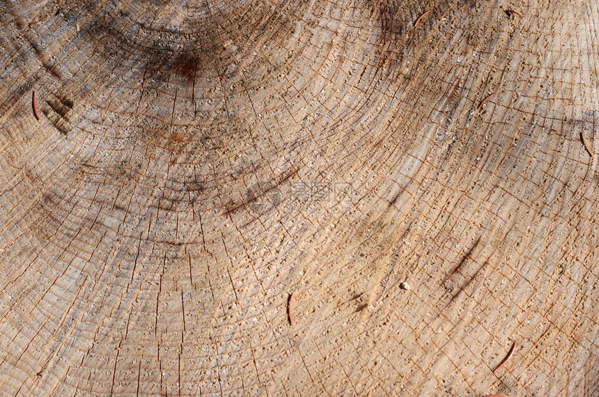 木柴结构的结构线条圆形椭圆形图片