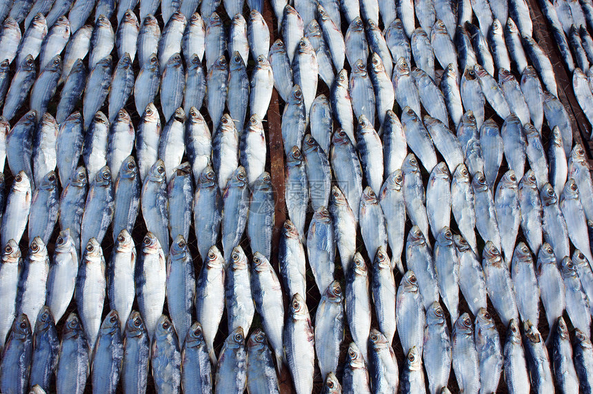 阳光下干枯的鱼薄片鱼干鳕鱼盐水食品蓝鱼盐渍木头市场架子图片
