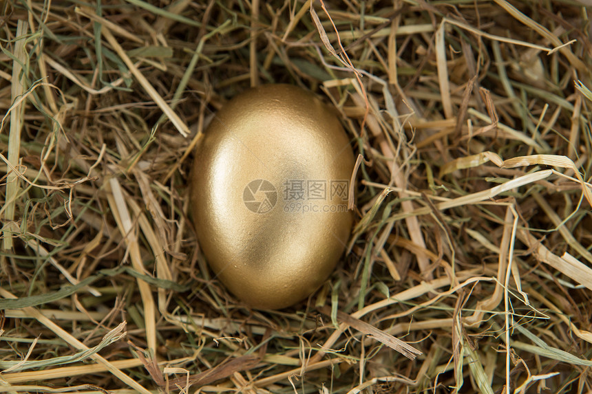 金蛋在稻草里图片