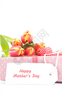 花束卡片缠绕配着快乐母亲卡的礼物上的郁金香背景