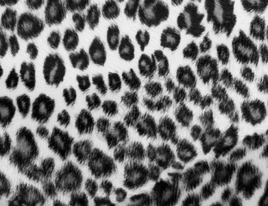 单色豹粉笔打印高清图片