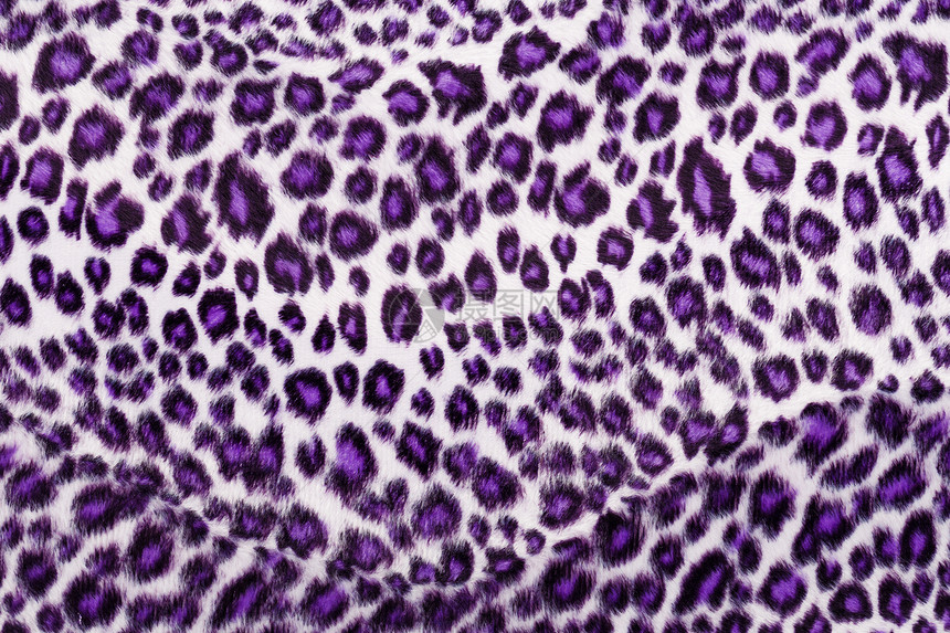 紫色印刷纸豹背景紫红色豹纹纺织品粉色动物荒野毛皮图片