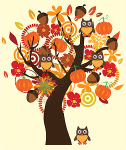多种蘑菇组合秋天的猫头鹰设计图片