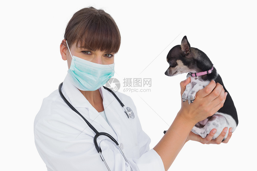 带有保护面罩的有吸引力的兽医 手持吉华花图片