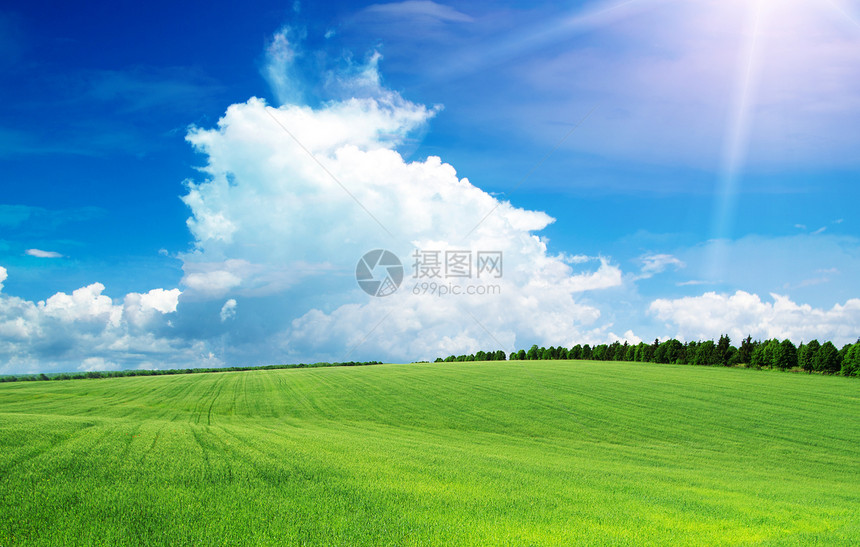 绿绿地农场天堂农村草地晴天土地植物蓝色国家远景图片