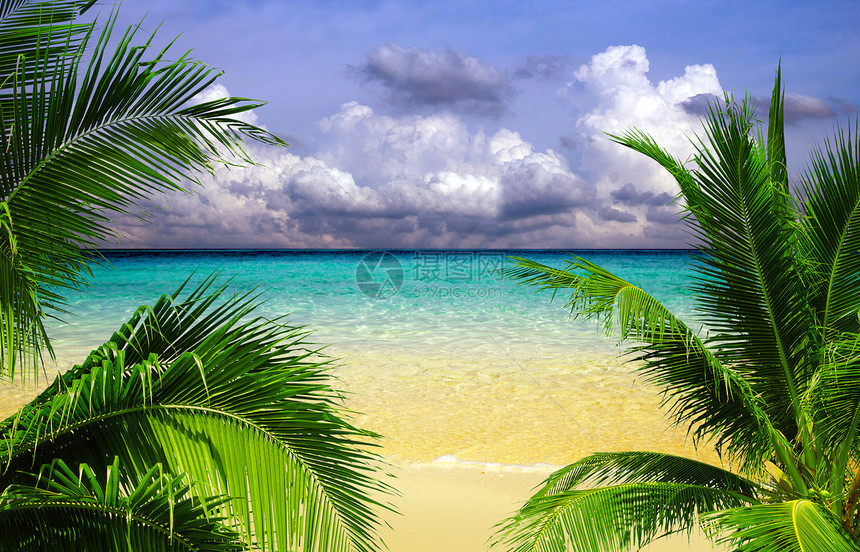 热带海洋阳光海景太阳海岸天堂假期蓝色天空旅行支撑图片