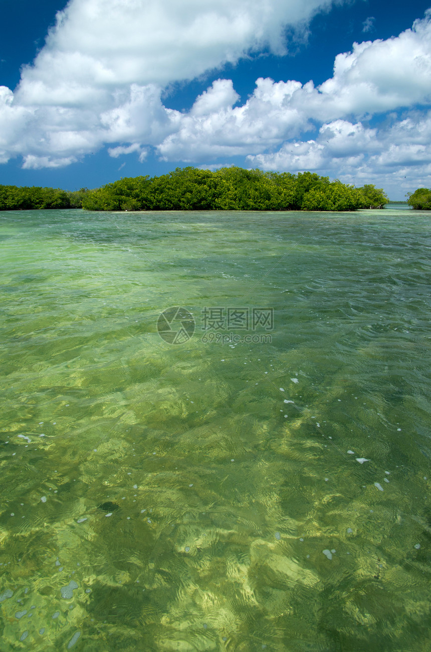 海上红树林丛林海岸线海景蓝色反射旅行红树气候植物群旅游图片