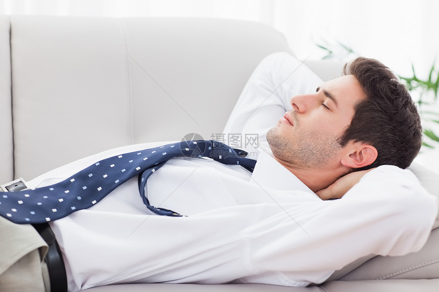 躺在沙发上睡着的商务人士男性住所公寓家庭房子长椅短发棕色头发休息室图片
