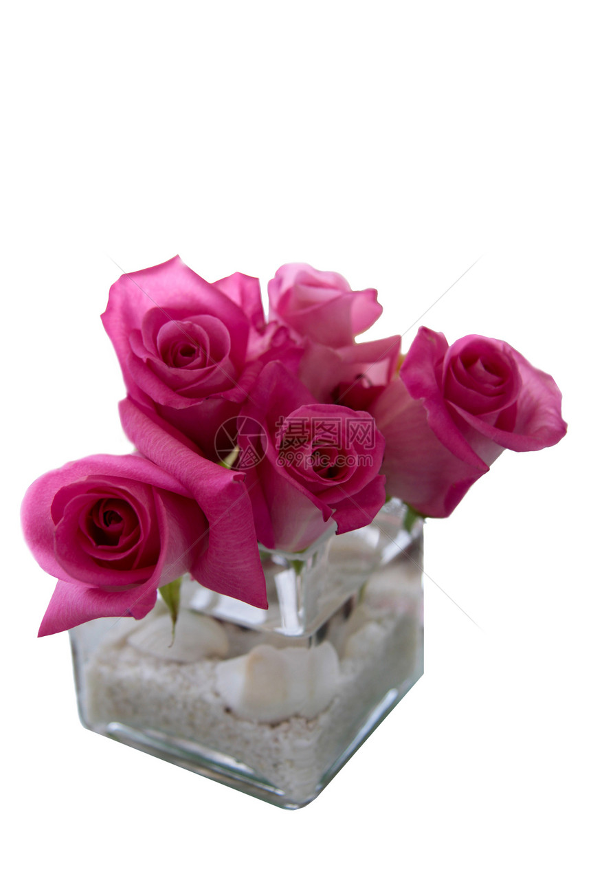 花瓶中的粉红玫瑰花花安排图片