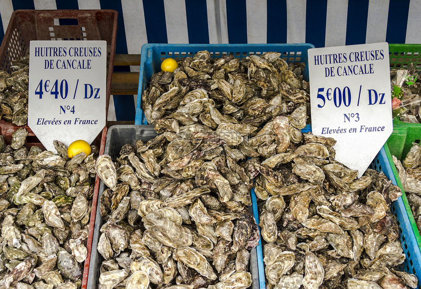 法国 布列塔尼 康卡勒的牡蛎市场 - 牡蛎养殖中心图片