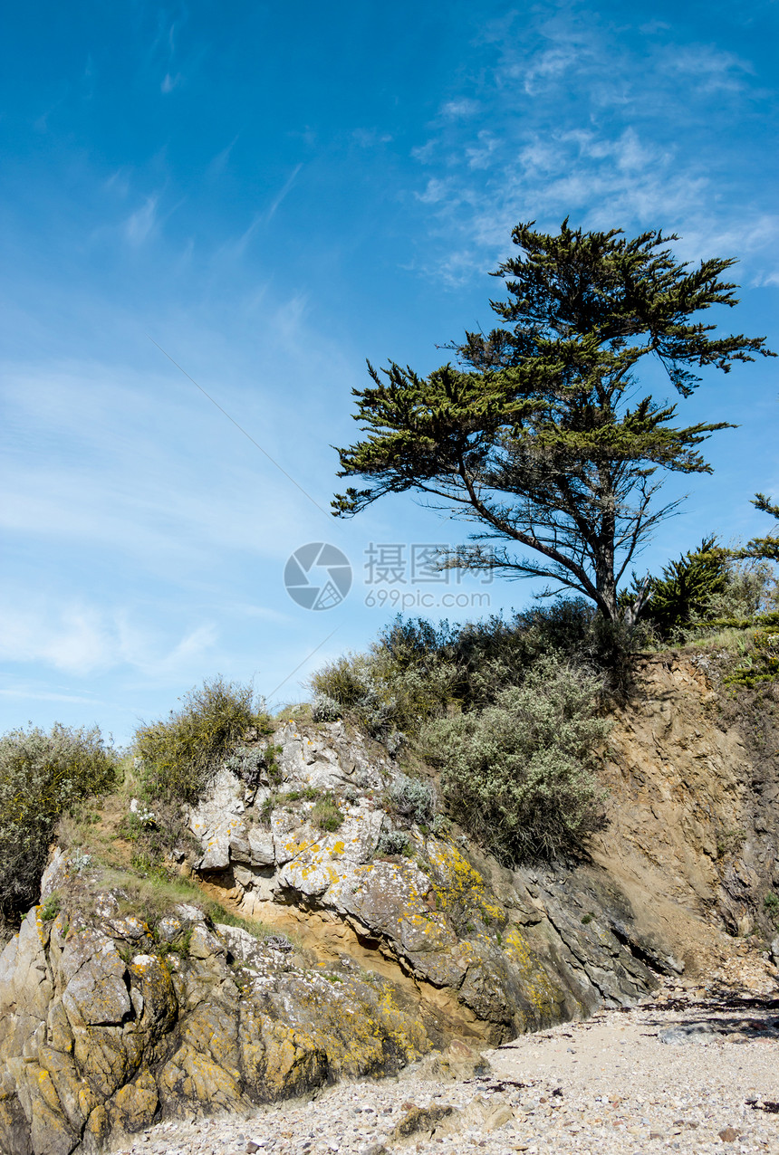 悬崖上有松树的景观地质学自然海景旅游砂石游客编队植物公园海洋图片