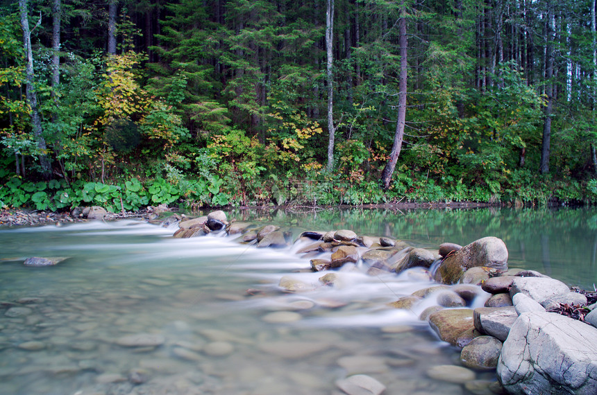 喀尔巴阡山流水流溪流流动苔藓岩石石头风景季节公园阳光热带图片