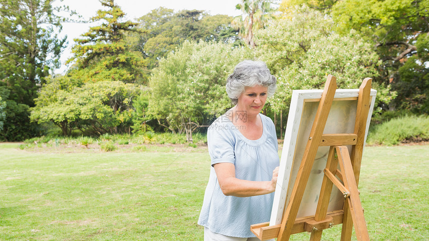 和平退休妇女在画布上绘画图片