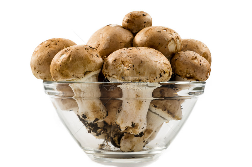 常见蘑菇食物毒菌宏观毒蝇收成篮子烹饪团体植物营养图片